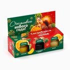 Подарочный набор новогодний «Согревайся этой зимой» 2 крем-мёда и варенье с шишками 3×30 г - Фото 2