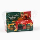 Подарочный набор новогодний «Согревайся этой зимой» 2 крем-мёда и варенье с шишками 3×30 г - Фото 8