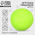 Игрушки для собак. Мячик с пищалкой «Зелёный», d=5,5 см - фото 322093815