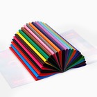 Бумага цветная двусторонняя А4, 24 листа, 8 цветов, мелованная «БукиБяки» - Фото 2