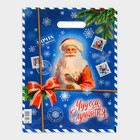 Пакет подарочный новогодний «Почта от деда мороза», полиэтиленовый с вырубной ручкой, 30×40 см - Фото 2