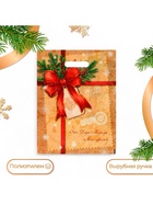 Пакет подарочный новогодний «Послание от деда мороза и снегурочки», полиэтиленовый с вырубной ручкой, 30×40 см - Фото 1