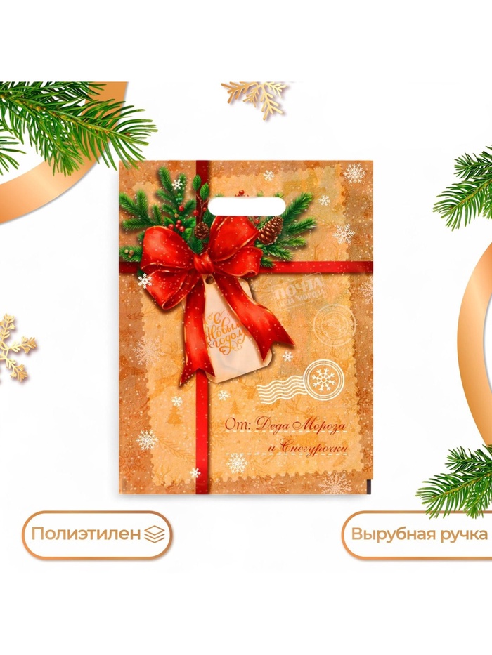 Пакет подарочный новогодний «Послание от деда мороза и снегурочки», полиэтиленовый с вырубной ручкой, 30×40 см - Фото 1