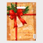 Пакет подарочный новогодний «Послание от деда мороза и снегурочки», полиэтиленовый с вырубной ручкой, 30×40 см - Фото 2