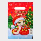 Пакет новогодний подарочный «С Новым годом», полиэтиленовый с вырубной ручкой, 20×30 см, 30 мкм - Фото 2