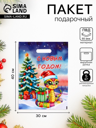 Пакет «Змея в новогодней шапке», полиэтиленовый с вырубной ручкой, 30×40 см