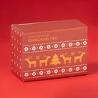 Набор для специй новогодний Доляна «Финский лес», солонка 50 мл, перечница 50 мл, доломит, белый - Фото 5