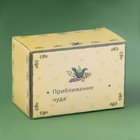 Набор для специй новогодний Доляна «Приближение чуда», 3 предмета: солонка 80 мл, перечница 80 мл, подставка, доломит, белый - Фото 7