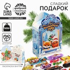 Новый год! Конфеты, с раскраской внутри «Замок», 500 гр 10402781 - фото 4149377