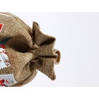 Набор мешков с термонаклейкой «Почта», холща, 3 штуки, 16 х 24 см 10448936