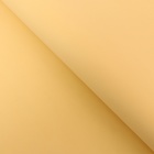 Фоамиран 0.8-1 мм белая роза 60×70 см - Фото 2