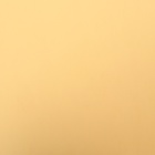 Фоамиран 0.8-1 мм белая роза 60×70 см - Фото 3