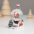 Сувенир полистоун водяной шар свет "Снеговик. Ёлочка" МИКС 5,5х5,5х9 см (комплект 12 шт) - фото 25484815