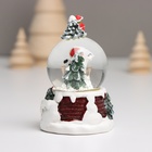 Сувенир полистоун водяной шар свет "Снеговик. Ёлочка" МИКС 5,5х5,5х9 см (комплект 12 шт) - фото 25484817