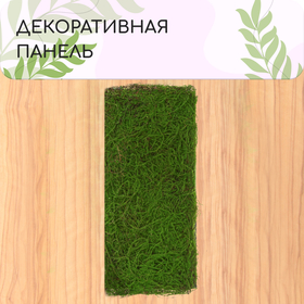 Декоративная панель 40*90 см, папоротник, "Greengo" 5200607 10479388