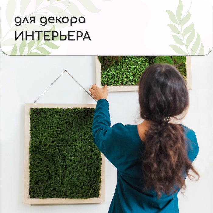 Декоративная панель, 90 × 40 см, «Папоротник», Greengo