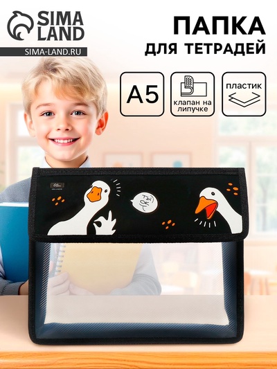 Папка для тетрадей, А5, пластиковая, 23×19×5 см «Гуси»