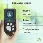 Плеер Hi-Fi Flash Digma S5 8Gb черный/серый/2.4"/FM/microSD/microSDHC - фото 51651466 Плеер Hi-Fi Flash Digma S5 8Gb черный/серый/2.4"/FM/microSD/microSDHC - фото 51651466