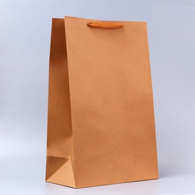Пакет крафт без печати, вертикальный, 38?60?20 см 210 г (комплект 2 шт)