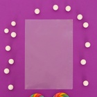 Пакет фасовочный БОПП 15 х 20 см 25мкм (комплект 100 шт) - фото 25583623