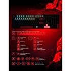 Клавиатура A4Tech Bloody S510R механическая черный USB for gamer LED (S510R USB FIRE BLACK/ 107748 - фото 51657494 Клавиатура A4Tech Bloody S510R механическая черный USB for gamer LED (S510R USB FIRE BLACK/ 107748 - фото 51657494