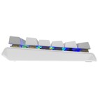 Клавиатура A4Tech Fstyler FS100 Neon механическая серый/белый USB for gamer LED (FS100) - Фото 10