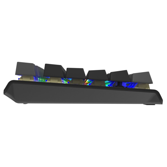 Клавиатура A4Tech Fstyler FS100 Neon механическая черный USB for gamer LED (FS100) - фото 51657532