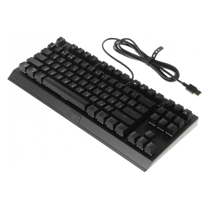 Клавиатура Razer BlackWidow V3 TKL механическая черный/черный USB Multimedia for gamer LED   1077484 - фото 51657538