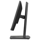 Монитор Iiyama 21.5" ProLite XUB2293HSU-B6 черный IPS LED 1ms 16:9 HDMI M/M матовая HAS Piv 107748 - фото 51657678 Монитор Iiyama 21.5" ProLite XUB2293HSU-B6 черный IPS LED 1ms 16:9 HDMI M/M матовая HAS Piv 107748 - фото 51657678