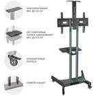Подставка для телевизора Onkron TS1551 черный 40"-70" макс.60.5кг напольный мобильный - фото 51658801 Подставка для телевизора Onkron TS1551 черный 40"-70" макс.60.5кг напольный мобильный - фото 51658801