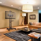 Подставка для телевизора Onkron TS1551 черный 40"-70" макс.60.5кг напольный мобильный - фото 51658806 Подставка для телевизора Onkron TS1551 черный 40"-70" макс.60.5кг напольный мобильный - фото 51658806