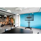 Подставка для телевизора Onkron TS1551 черный 40"-70" макс.60.5кг напольный мобильный - фото 51658807 Подставка для телевизора Onkron TS1551 черный 40"-70" макс.60.5кг напольный мобильный - фото 51658807