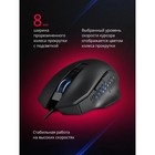 Мышь игровая Redragon Gainer 1000-3200 dpi / 6 кнопок / оптика / проводная - фото 51653122 Мышь игровая Redragon Gainer 1000-3200 dpi / 6 кнопок / оптика / проводная - фото 51653122