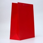 Пакет подарочный ламинированный вертикальный «Красный», L 31×40×14 см - Фото 2