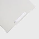 Пакет подарочный ламинированный вертикальный «Белый», L 31×40×14 см - Фото 2