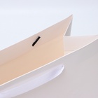 Пакет подарочный ламинированный вертикальный «Белый», L 31×40×14 см - Фото 4