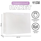 Пакет подарочный ламинированный горизонтальный «Белый», L 40×31×14 см - Фото 1