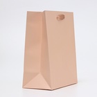 Пакет подарочный ламинированный «Пыльная роза», MS 18×23×10 см - Фото 2