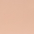 Пакет подарочный ламинированный «Пыльная роза», MS 18×23×10 см - Фото 3