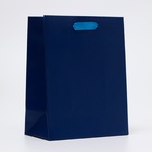 Пакет подарочный ламинированный «Синий», MS 18×23×10 см - Фото 1