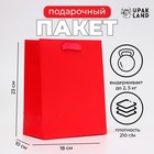 Пакет подарочный ламинированный «Красный», MS 18×23×10 см - Фото 1