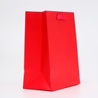 Пакет подарочный ламинированный «Красный», MS 18×23×10 см - Фото 2