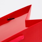 Пакет подарочный ламинированный «Красный», MS 18×23×10 см - Фото 4