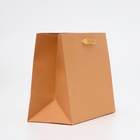 Пакет подарочный ламинированный «Крафт», MS 23×18×10 см - Фото 2