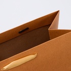 Пакет подарочный ламинированный «Крафт», MS 23×18×10 см - Фото 4