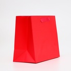 Пакет подарочный ламинированный «Красный», MS 23×18×10 см - Фото 2