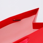 Пакет подарочный ламинированный «Красный», MS 23×18×10 см - Фото 4
