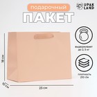 Пакет подарочный ламинированный «Ваниль», MS 23×18×10 см - Фото 1