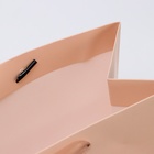 Пакет подарочный ламинированный «Ваниль», MS 23×18×10 см - Фото 4