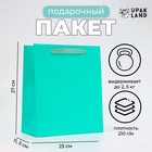 Пакет подарочный ламинированный «Тиффани», ML 23×27×11.5 см - Фото 1